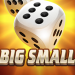 Big Small